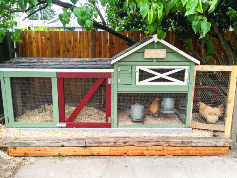 The Great Chicken Coop Remodel of 2015 Rake and Make